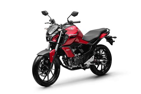 yamaha老師資格|山葉音樂能力檢定制度介紹